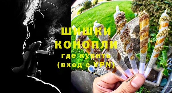 шишки Бородино