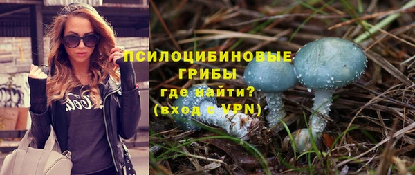 хмурый Шарыпово