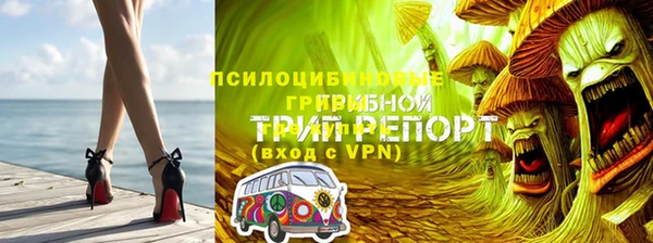 хмурый Шарыпово