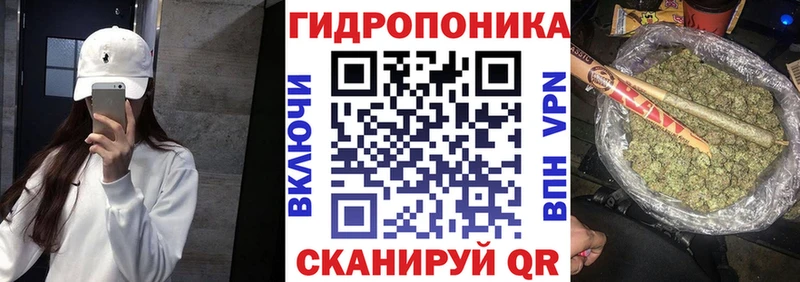 сколько стоит  Волгореченск  гидра tor  Бошки марихуана LSD WEED 